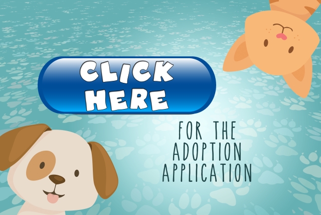 Click here for the adoption application.